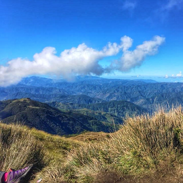 SEA OF CLOUDS, MT.PULAG⛰️