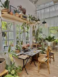 The creeper House • คาเฟ่ในสวน มุมถ่ายรูปสวยไม่ซ้ำ
