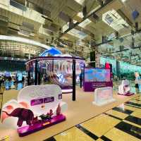 $Millionaire Changi