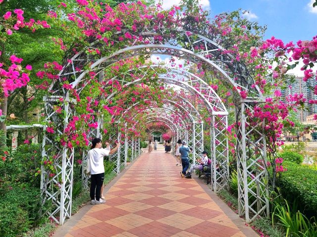 【渡假聖地~黃金海岸🏖️】