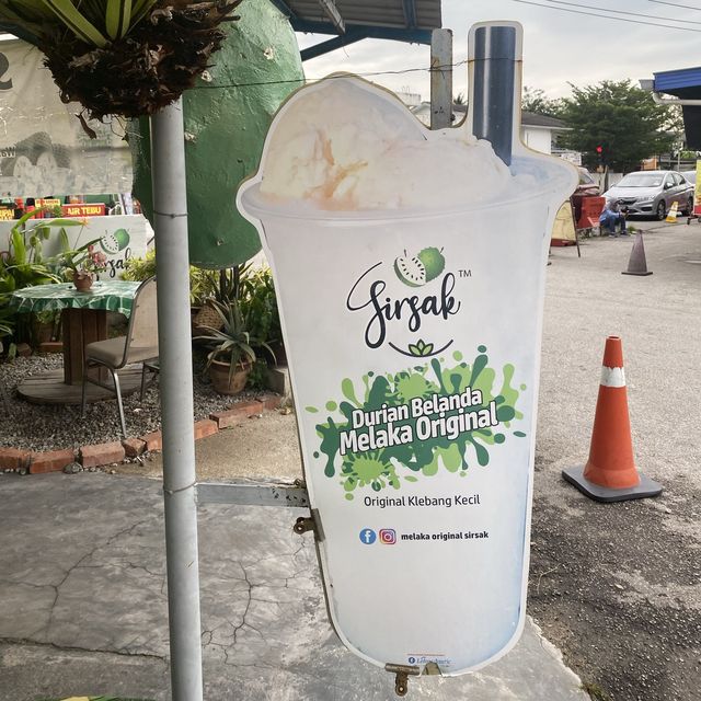 Day Trip to Malacca 🌤️