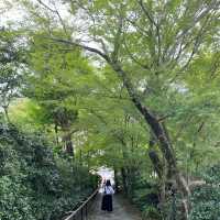 【京都旅】華厳寺で法話を聞きながら鈴虫の音色に癒されよう