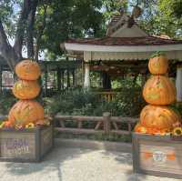 🎃迪士尼樂園南瓜處處迎接萬聖節🎃