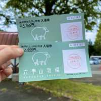 六甲山牧場【北エリア】動物が近くふれ合える癒されエリア