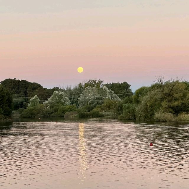 Nature's Serenade, ACT