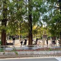 【大阪・靭公園】公園の目の前にある開放的なカフェ
