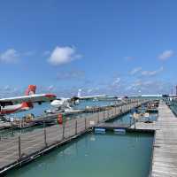 Trans Maldivian Airways