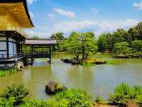 Kinkakuji Temple 