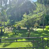 Khao Kheow open Zoo 