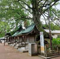 ขอพรเทพเจ้าแห่งการศึกษา ที่ศาลเจ้าดาไซฟุ เทนมันกุ