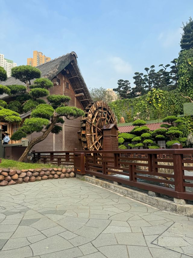 一人之境🙌🏻在鑽石山遊京都金閣寺😁
