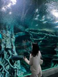 추위걱정 없는 실내 데이트는 아쿠아리움🩵🐠