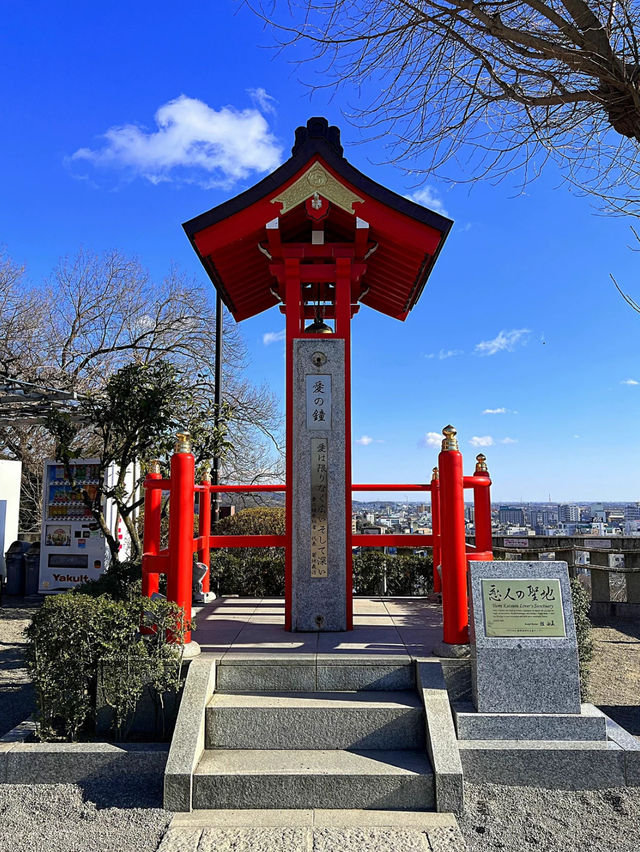 【足利】カラフルな七色の鳥居がある足利織姫神社