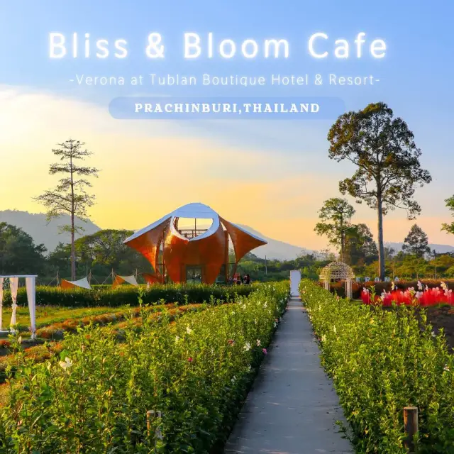 Bliss & Bloom cafe คาเฟ่ดีไซน์สวย กลางทุ่งดอกไม้