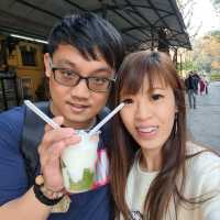 河內還劍湖風光明媚，三六古街法棍麵包雞蛋咖啡必嚐！