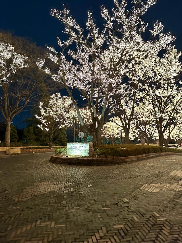 서울 호캉스 추천 호텔로 유명한 그랜드하얏트서울