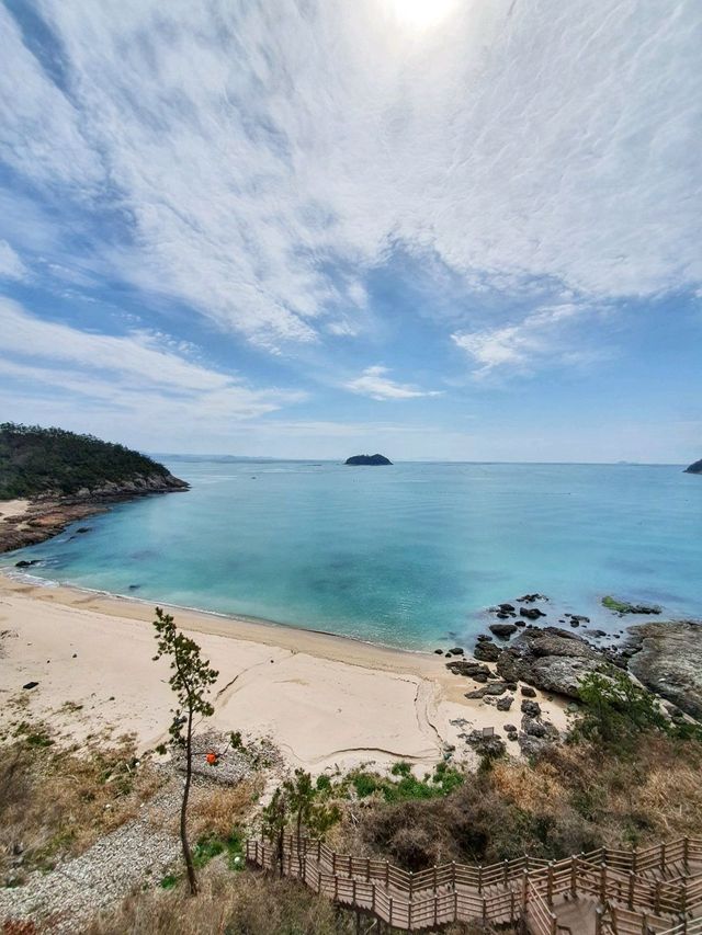호텔동도 리조트동도 다 매력적인 뷰✨️쏠비치진도🏝