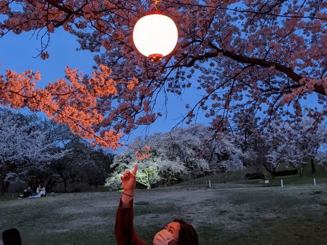 It’s Almost Sakura Season in Japan 🌸