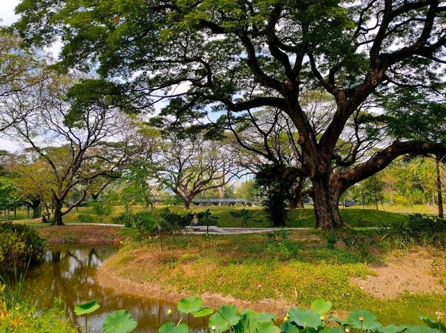 สวนป่าเบญจกิติ