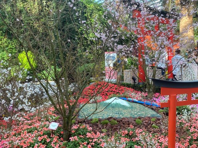 Sakura x Pokémon at Gardens by the Bay