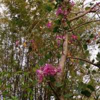 ลอฟท์สวยๆส่วนตัว ท่ามกลางธรรมชาติ