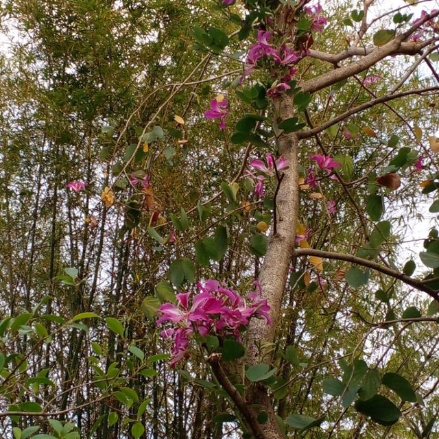 ลอฟท์สวยๆส่วนตัว ท่ามกลางธรรมชาติ
