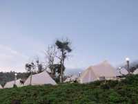 CAMP Phuchifa แคมป์ภูชี้ฟ้า 