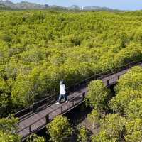 วนอุทยานปราณบุรี  จ.ประจวบคีรีขันธ์ ☘️