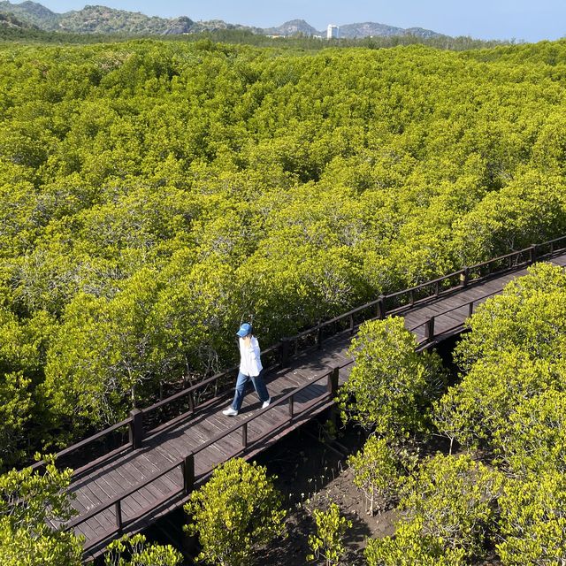 วนอุทยานปราณบุรี  จ.ประจวบคีรีขันธ์ ☘️