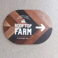Rooftop Farm in the City