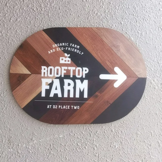 Rooftop Farm in the City
