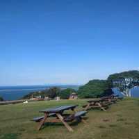 Nokonoshima Island Park เกาะดอกไม้แห่งFukuoka