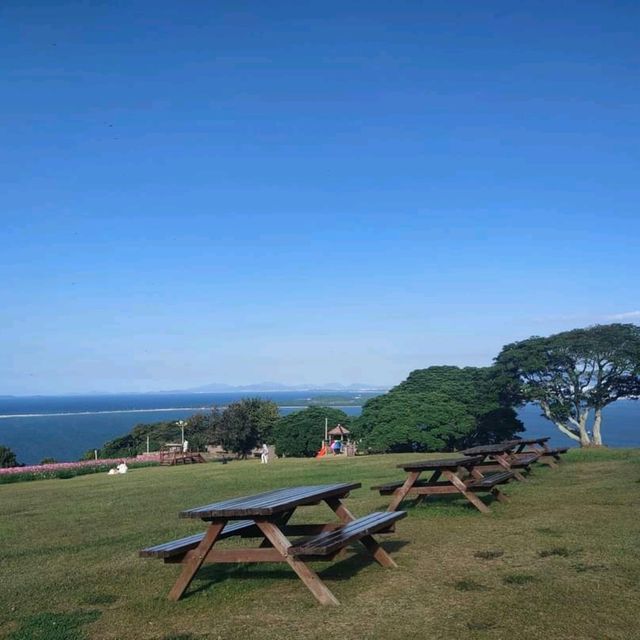 Nokonoshima Island Park เกาะดอกไม้แห่งFukuoka