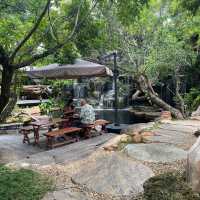 ร้านกาแฟมีน้ำตกอยู่กลางร้าน💚🌾🫧