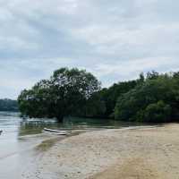 The Mangrove by Blu Monkey 