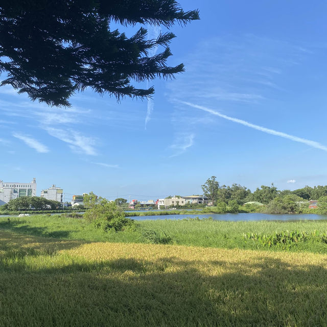 過嶺支渠休憩步道🐕