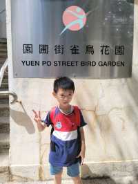 帶綿綿行花墟