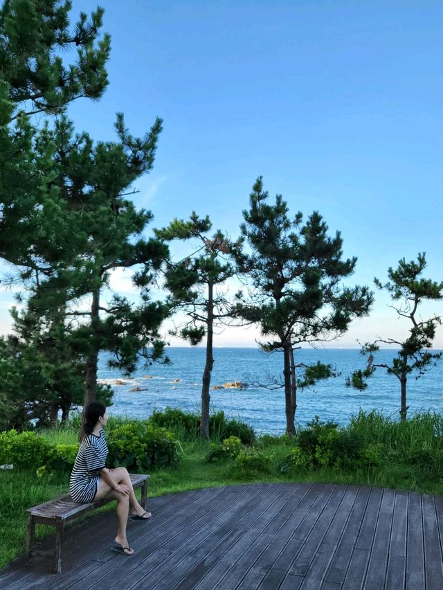 소나무와 바다가 아름답게 조화로운 울산 송정공원🌲