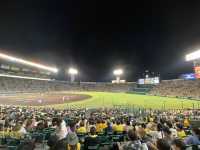 【兵庫・西宮】阪神甲子園球場