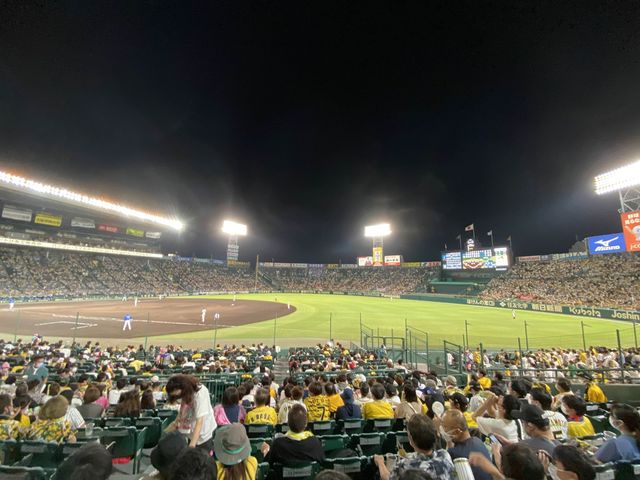 【兵庫・西宮】阪神甲子園球場