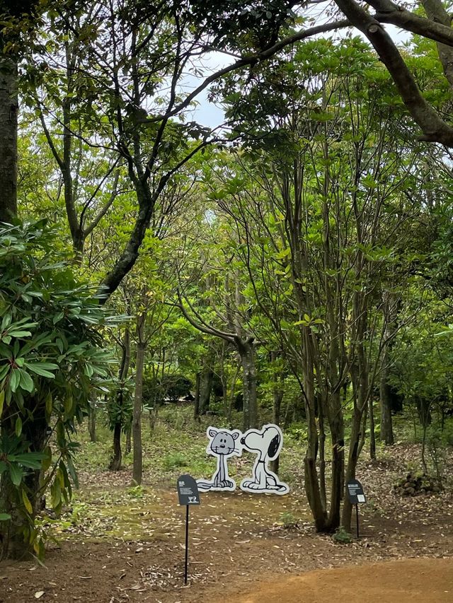 [제주도] 귀여운 스누피로 가득한 스누피 가든!🐾