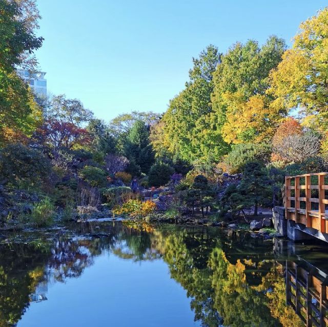 北海道大學植物園🌿綠意海洋