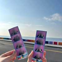 チェジュ島🏝虹🌈の道路