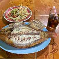태국 치앙마이 거대한 민물생선구이 최애 맛집 럿롯🐟