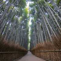 MUST do in Kyoto - Arashiyama 🎋Groove