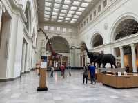 Field Museum 👀✨