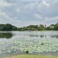 Picnic by the lake | Cyberjaya 🌳