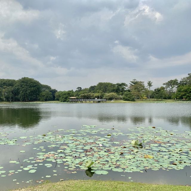 Picnic by the lake | Cyberjaya 🌳