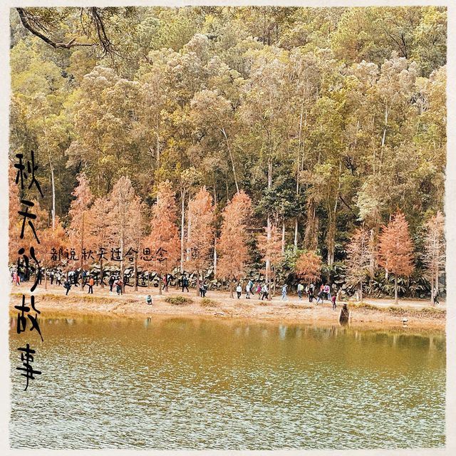 秋季遊🍂流水響