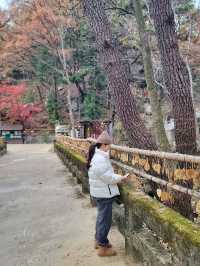 한적하게 거닐기 좋은 아름다운 홍룡사🍂